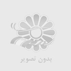 سئو وب سایت